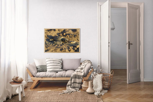 Sun-Kissed Start - Sea Turtle Hatchling on Golden Sand