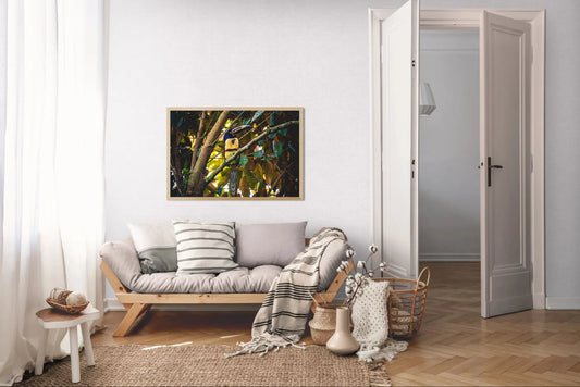 Tropical Perch - Collared Aracari on Forest Branch | Colorful Bird Photography