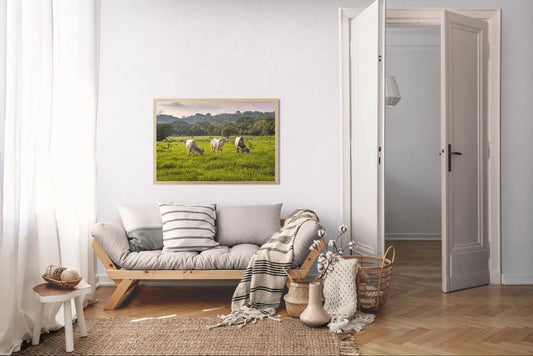 Evening Graze - Cattle in a Costa Rican Pasture | Animal Photo Print