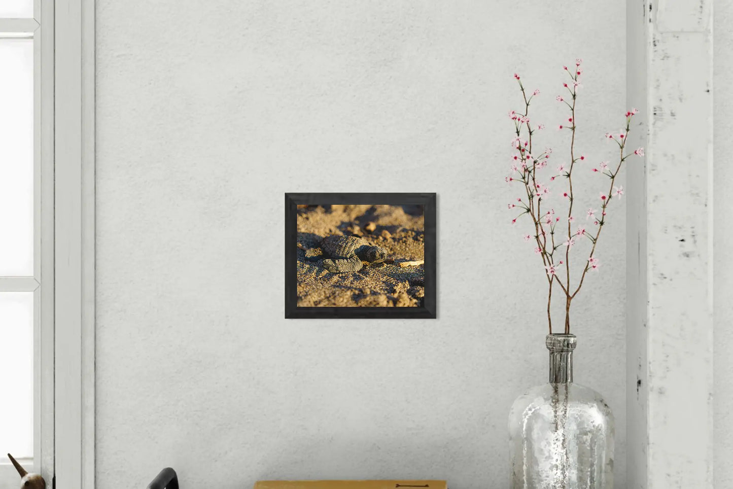 Sun-Kissed Start - Sea Turtle Hatchling on Golden Sand