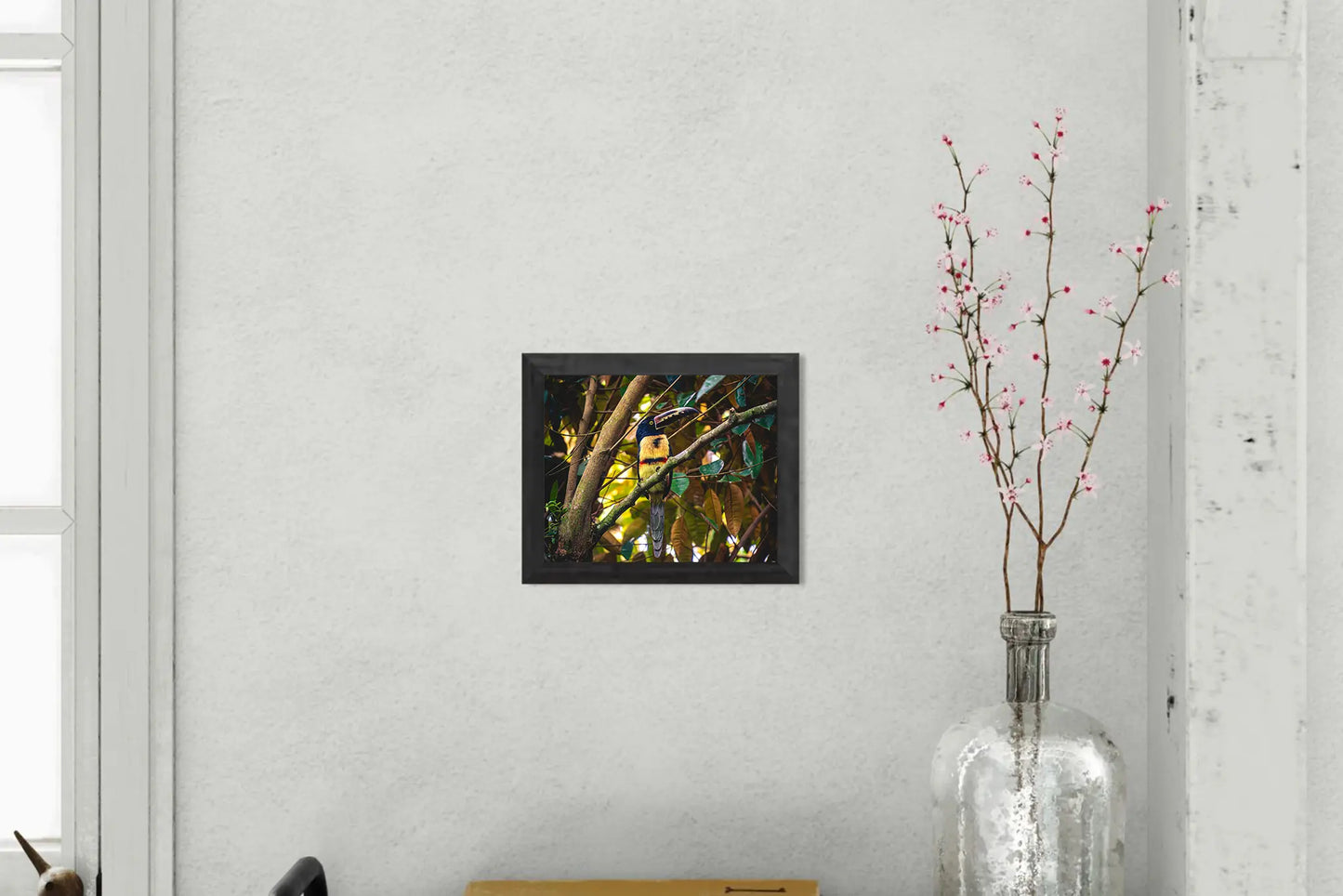 Tropical Perch - Collared Aracari on Forest Branch | Colorful Bird Photography