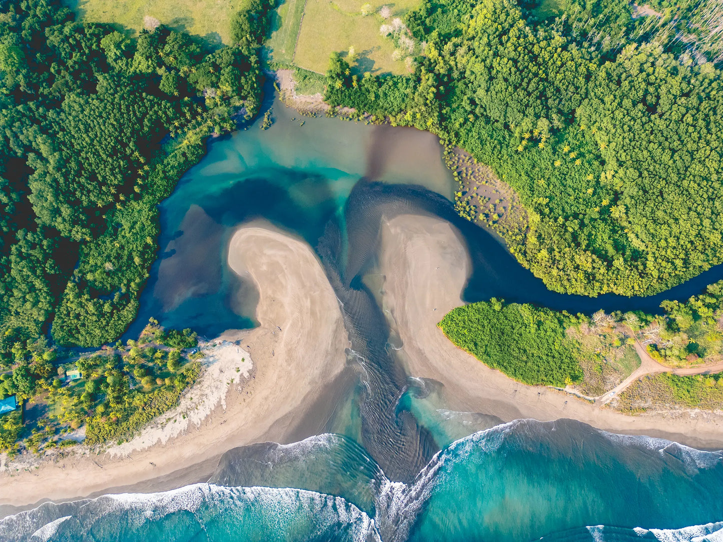 Convergence - Costa de Oro Aerial Estuary Wall Art Print | Turquoise Ocean & Jungle River