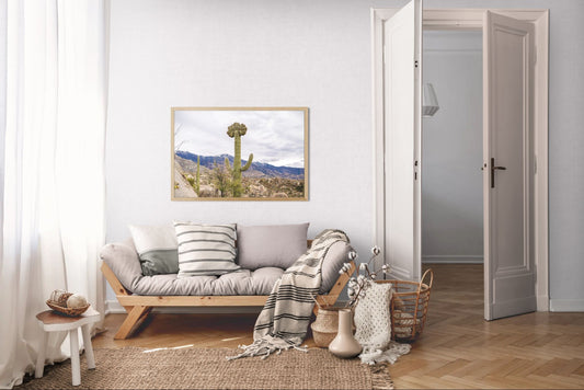 Crowned Giant – Crested Saguaro Photography Print | Santa Catalina Mountains & Desert Brush