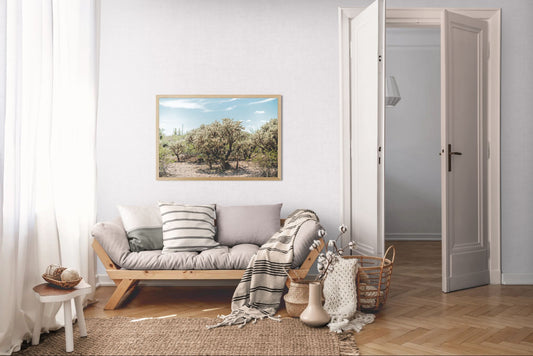 Crowned by Light - Tucson Mountain Park Desert Print | Cholla Grove & Pale Desert Sky