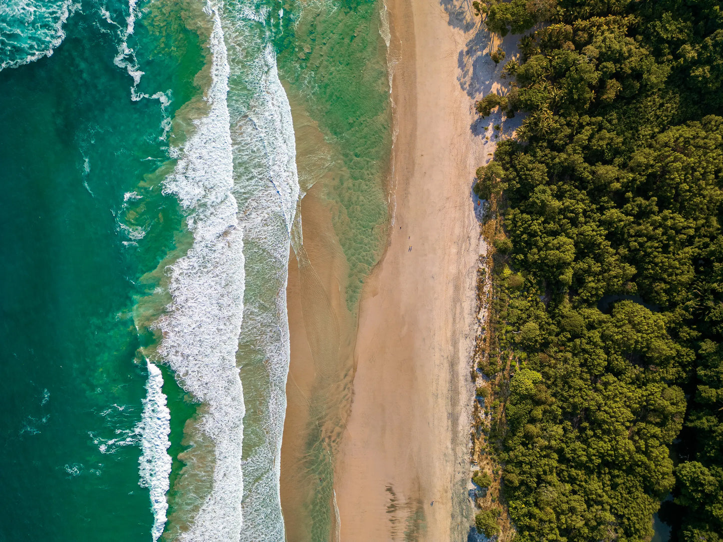 Edge of Paradise - Barrigona Aerial Beach Wall Art | Turquoise Ocean, Golden Sand & Jungle