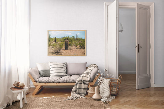 Prickled in Purple - Arizona Desert Cactus Print | Barrel Cactus, Saguaros & Sonoran Landscape