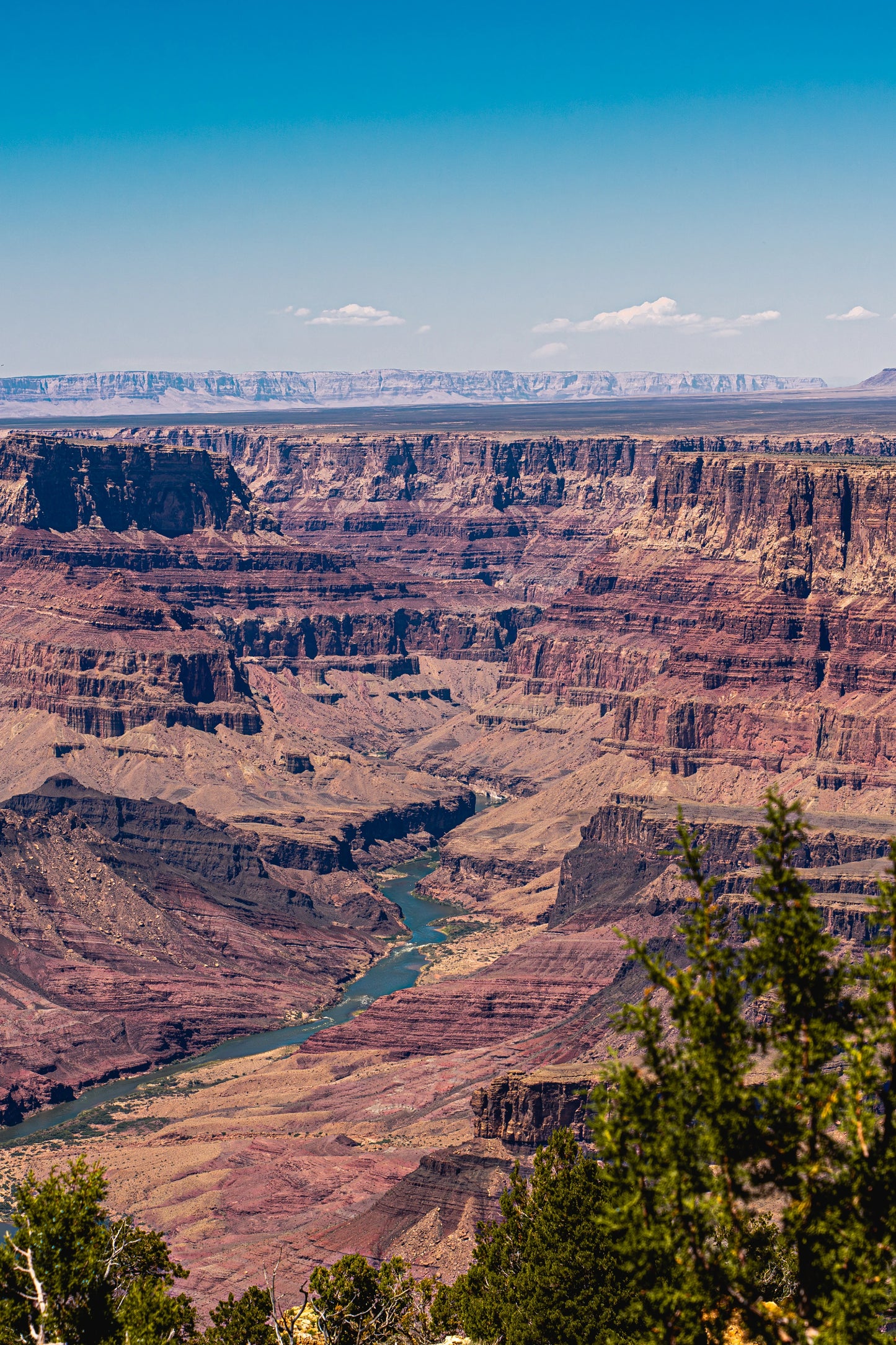 Riverbend Horizon - Grand Canyon Vertical Wall Art Print | Colorado River from Navajo Point
