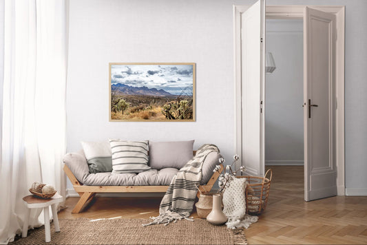 Shadowed Range – Sonoran Desert Landscape Print | Santa Catalina Mountains & Cholla Cactus