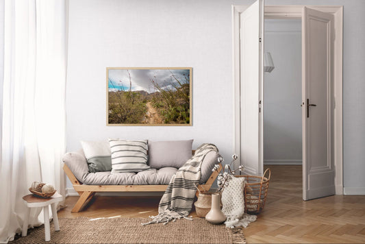 Trail to Finger Rock – Santa Catalina Mountains Desert Print | Ocotillo & Prickly Pear Landscape