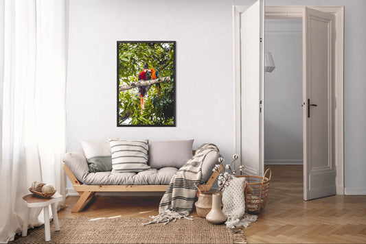 Tropical Pair – Scarlet Macaws in Tree | Costa Rica Bird Photography Print