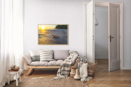 Afternoon Ascent - Olive Ridley Hatchling at Sunset | Costa Rica Wildlife Print