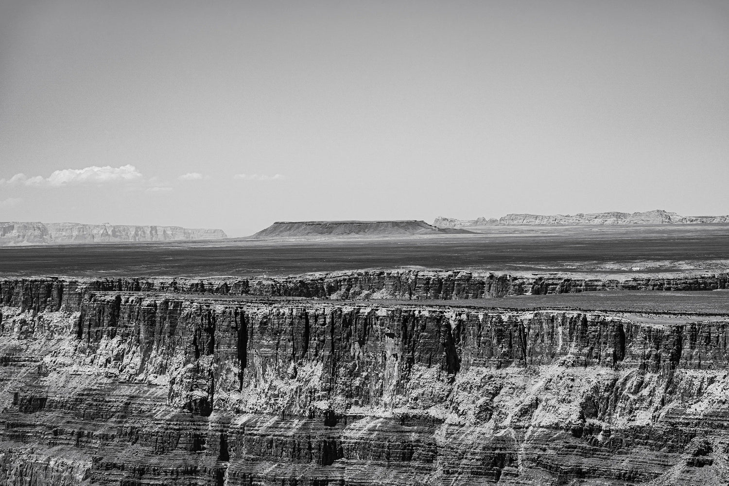 Monochrome Wild - Black and White Nature Photography Collection | Desert, Canyon & Jungle Prints