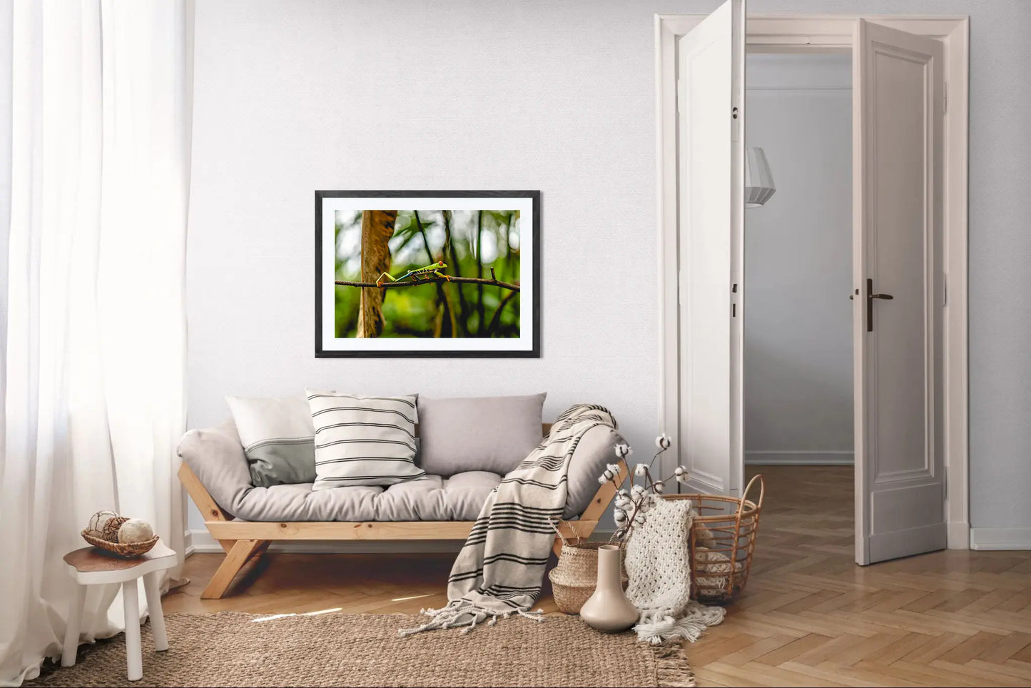 Jungle Acrobat – Red-Eyed Tree Frog in Costa Rica Rainforest