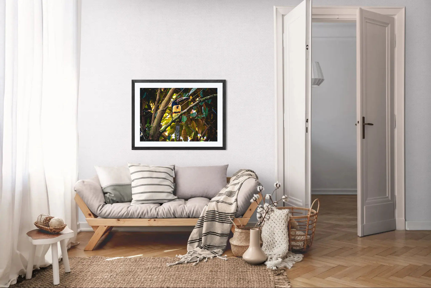 Tropical Perch - Collared Aracari on Forest Branch | Colorful Bird Photography