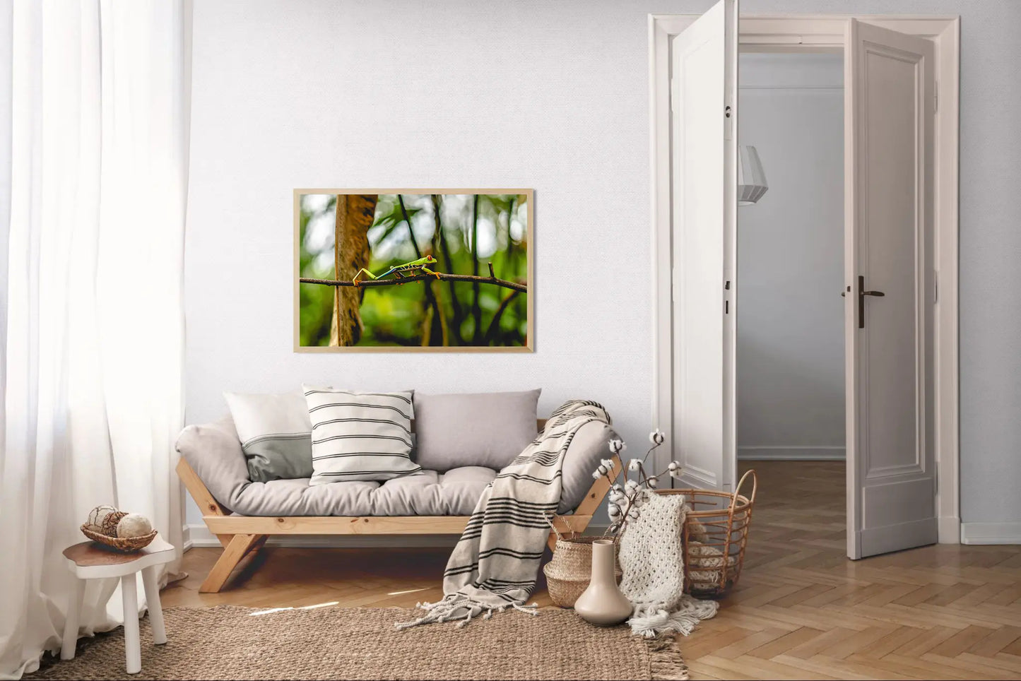 Jungle Acrobat – Red-Eyed Tree Frog in Costa Rica Rainforest