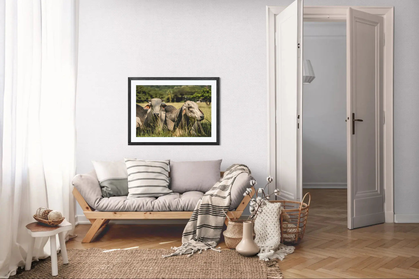 Guardians of the Pasture - Brahman Cattle in Costa Rica Photograph