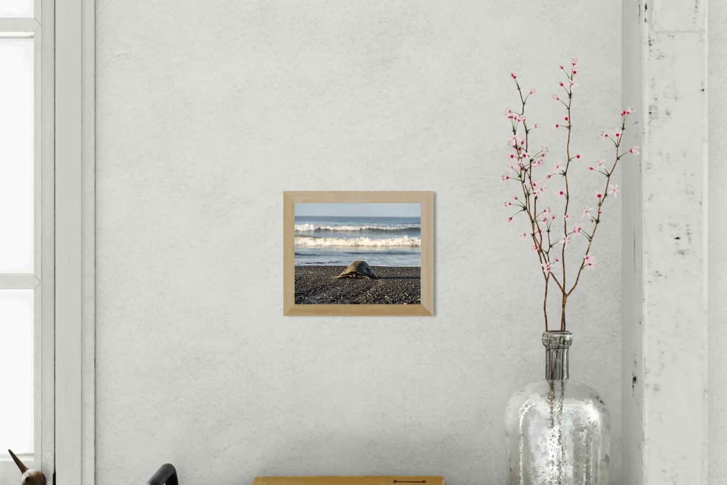 Into the Blue – Olive Ridley Turtle on the Black Sand | Costa Rica Photo Print