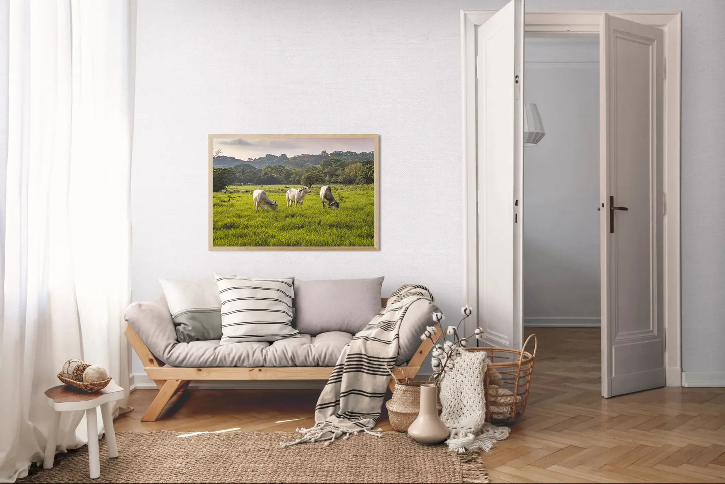 Evening Graze - Cattle in a Costa Rican Pasture | Animal Photo Print