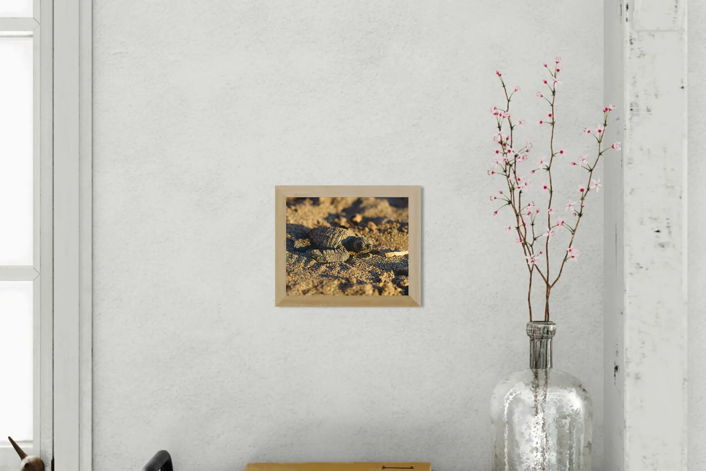 Sun-Kissed Start - Sea Turtle Hatchling on Golden Sand