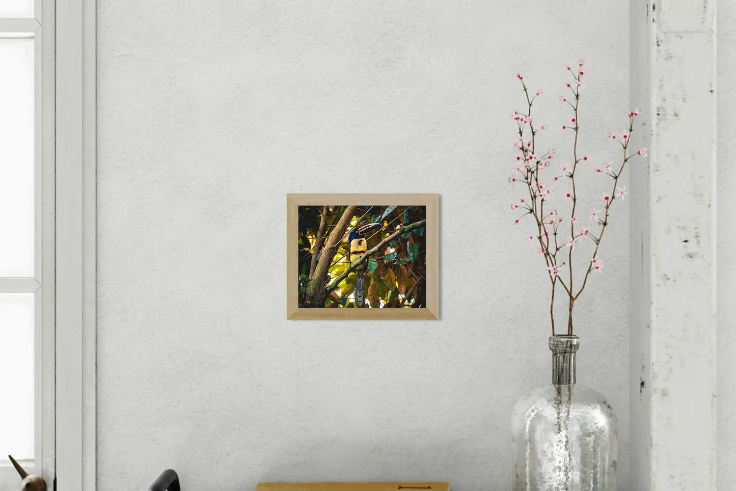 Tropical Perch - Collared Aracari on Forest Branch | Colorful Bird Photography