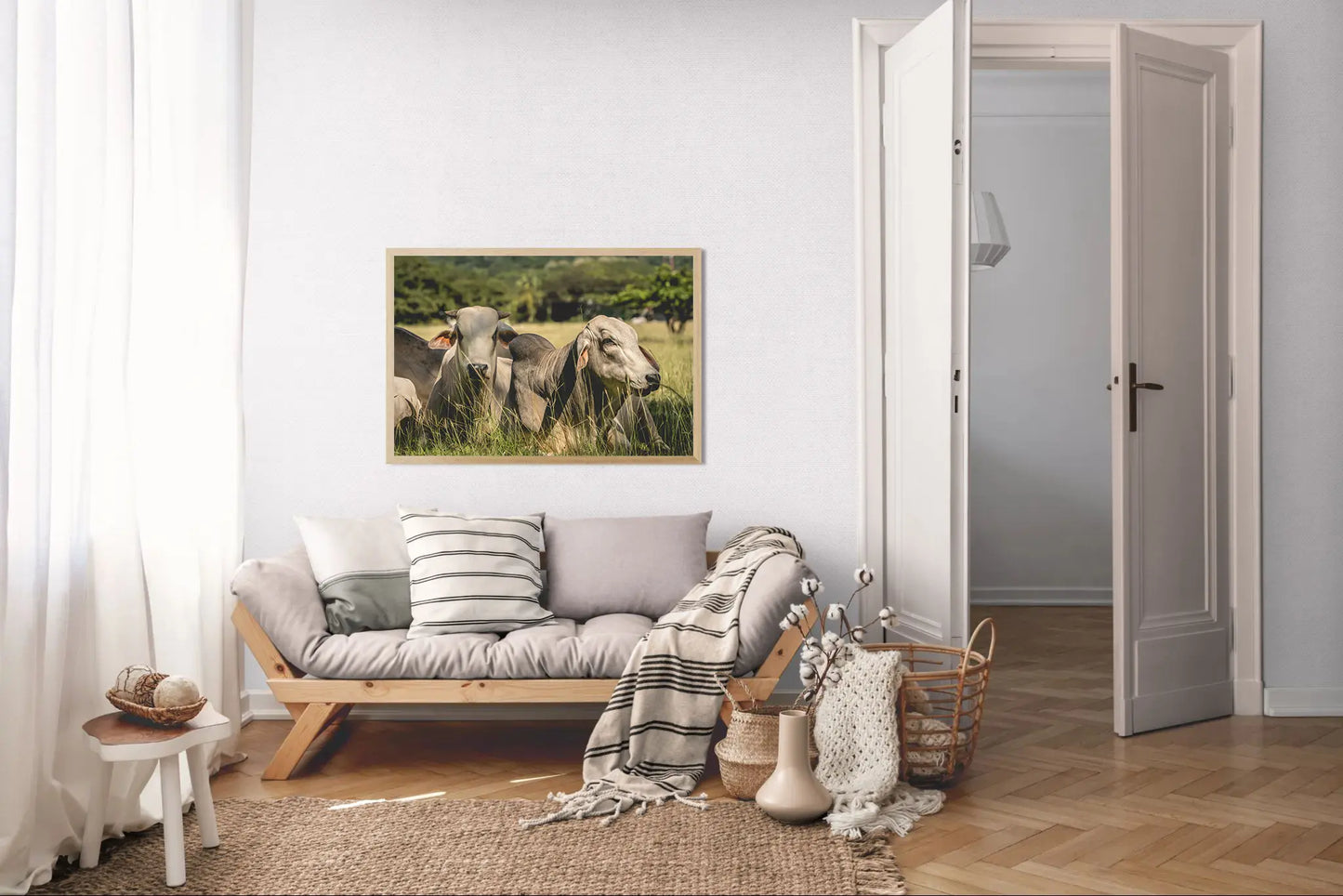 Guardians of the Pasture - Brahman Cattle in Costa Rica Photograph