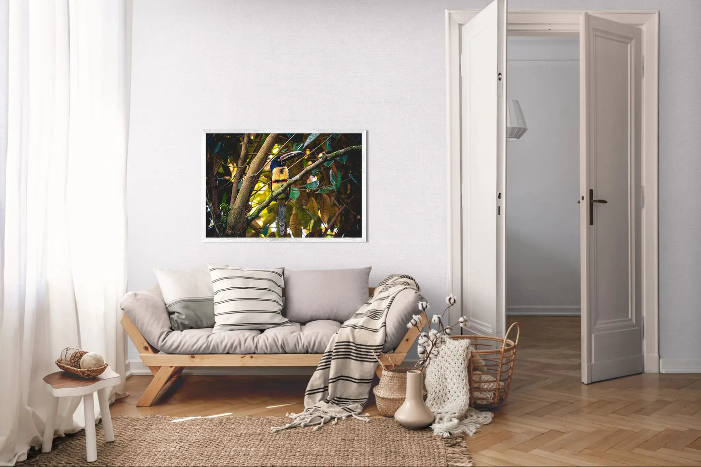 Tropical Perch - Collared Aracari on Forest Branch | Colorful Bird Photography