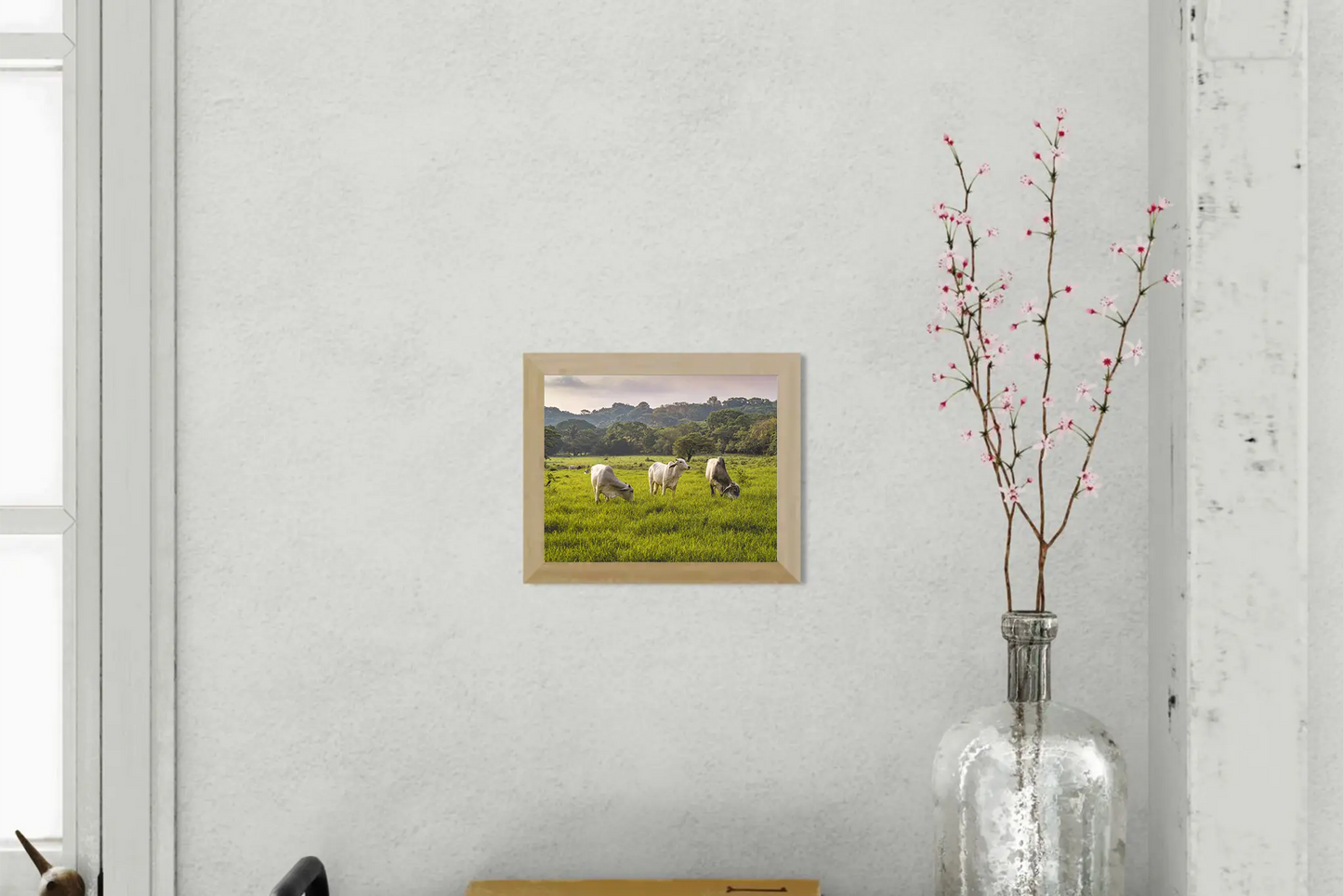 Evening Graze - Cattle in a Costa Rican Pasture | Animal Photo Print