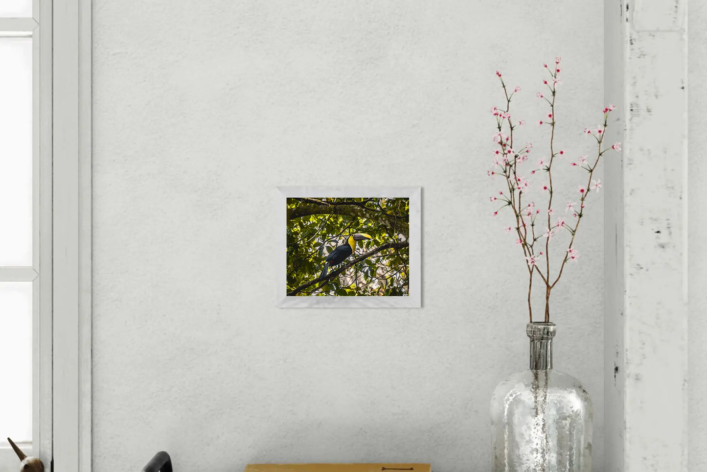 Canopy Light - Chestnut-Mandibled Toucan in the Trees | Costa Rica Wildlife Print