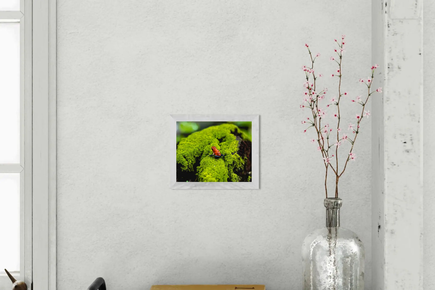 Emerald Throne - Poison Dart Frog on Rainforest Moss | Costa Rica Wildlife Photography