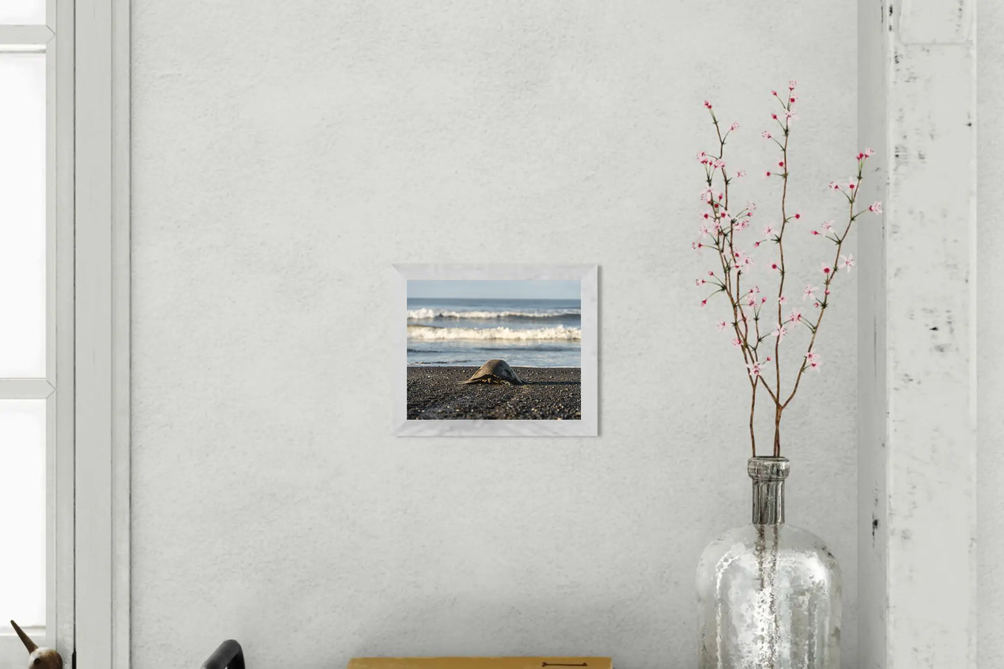 Into the Blue – Olive Ridley Turtle on the Black Sand | Costa Rica Photo Print