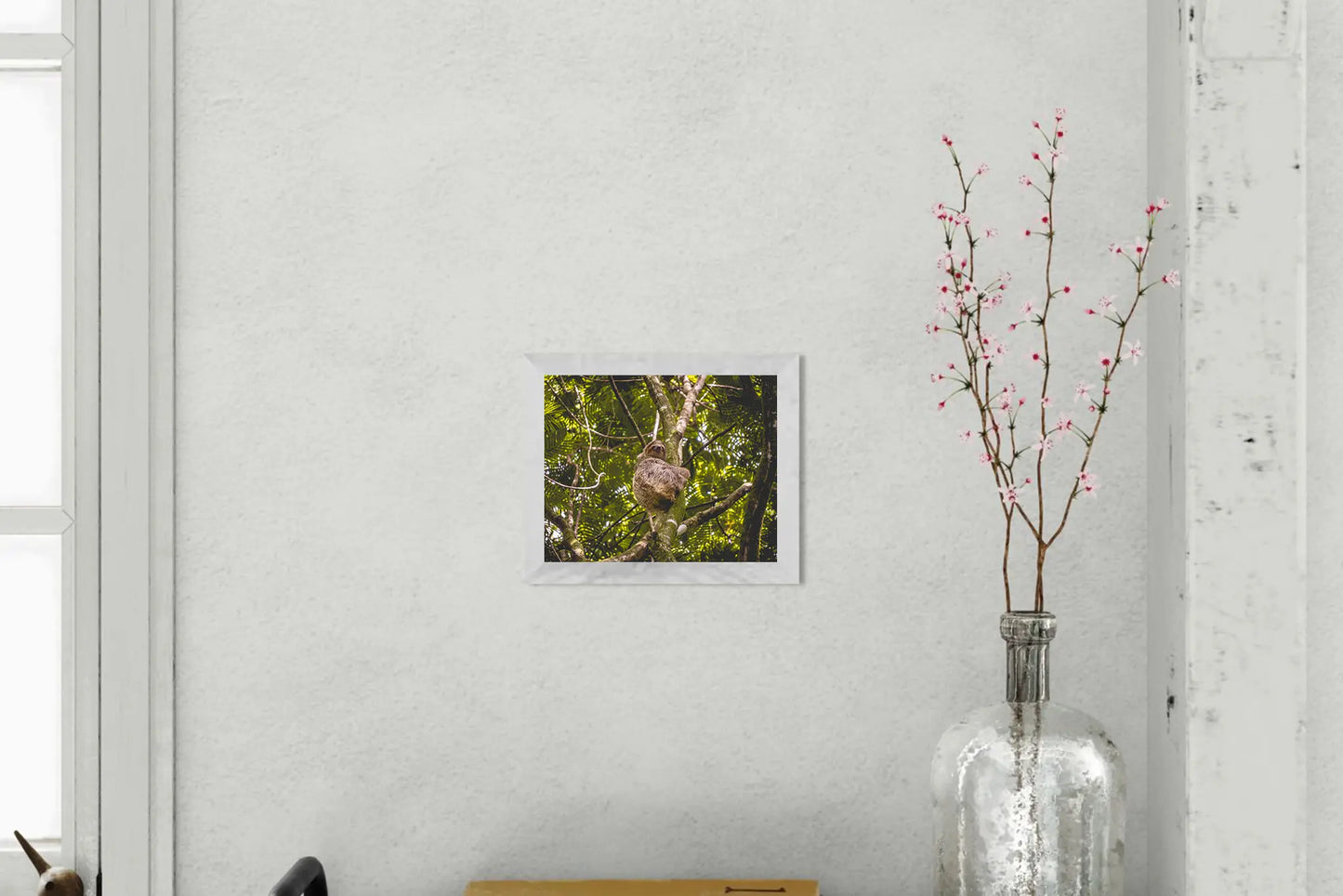 Jungle Dreamer - Three-Toed Sloth in Lush Costa Rica Canopy