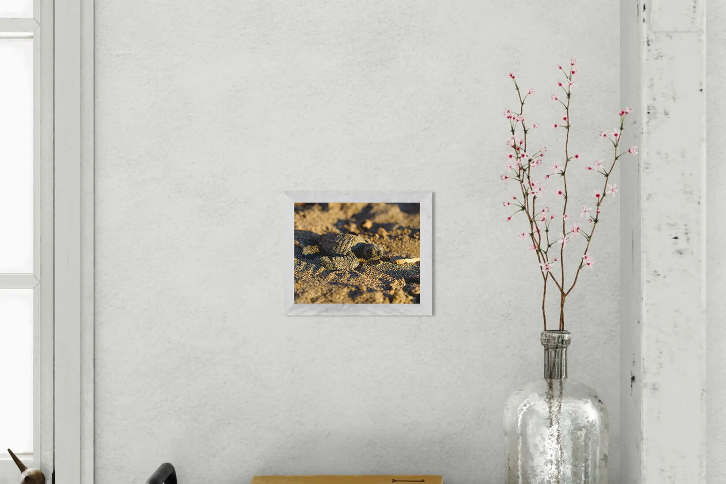 Sun-Kissed Start - Sea Turtle Hatchling on Golden Sand