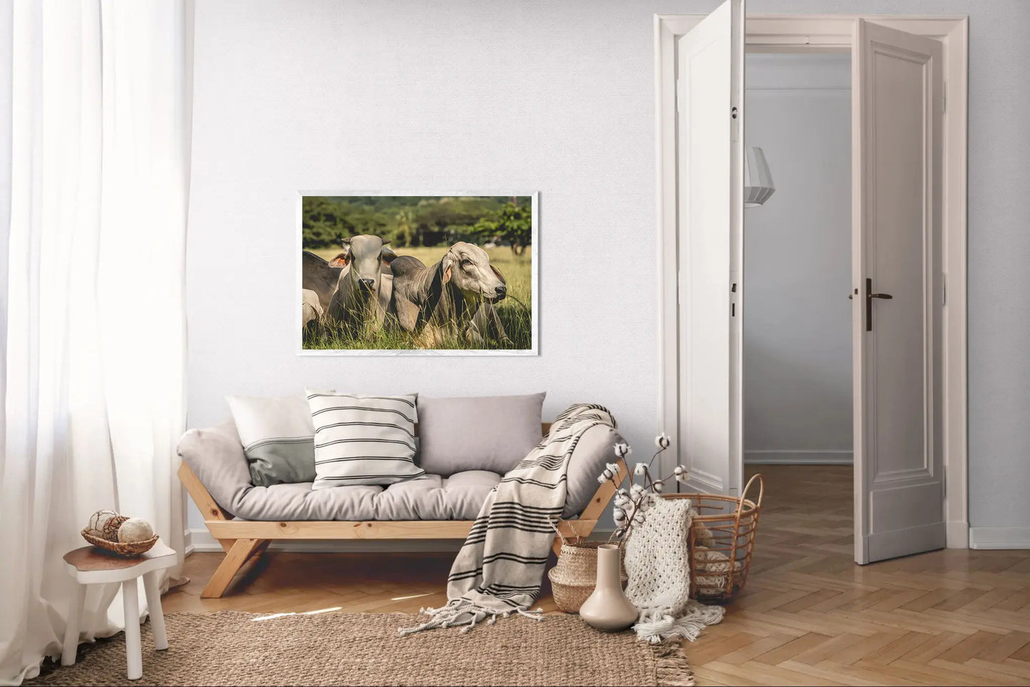 Guardians of the Pasture - Brahman Cattle in Costa Rica Photograph