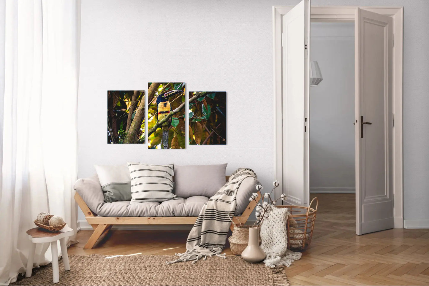 Tropical Perch - Collared Aracari on Forest Branch | Colorful Bird Photography