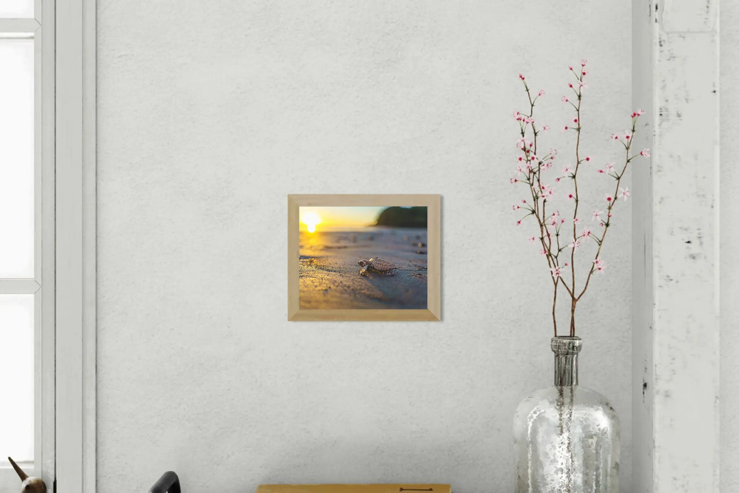 Afternoon Ascent - Olive Ridley Hatchling at Sunset | Costa Rica Wildlife Print