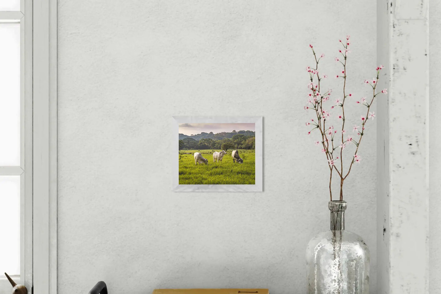 Evening Graze - Cattle in a Costa Rican Pasture | Animal Photo Print