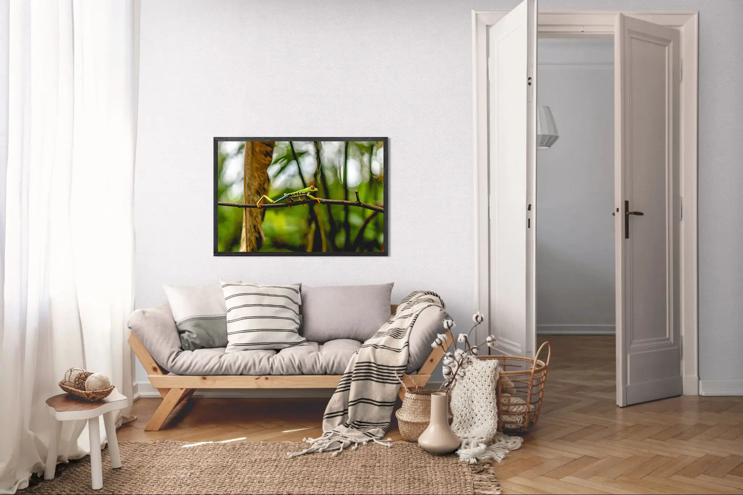 Jungle Acrobat – Red-Eyed Tree Frog in Costa Rica Rainforest