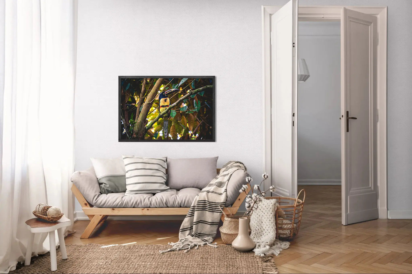 Tropical Perch - Collared Aracari on Forest Branch | Colorful Bird Photography