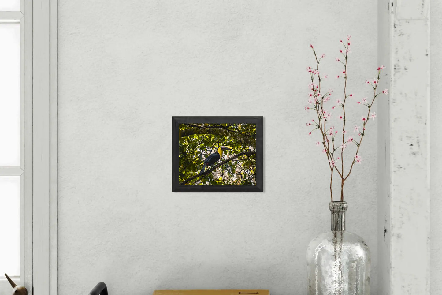 Canopy Light - Chestnut-Mandibled Toucan in the Trees | Costa Rica Wildlife Print