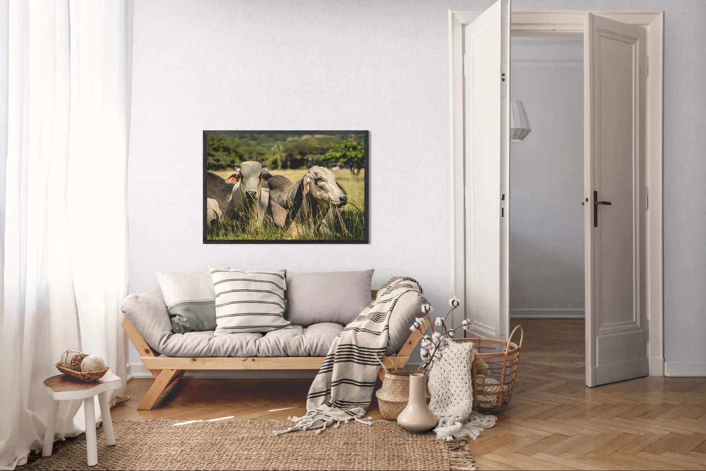 Guardians of the Pasture - Brahman Cattle in Costa Rica Photograph