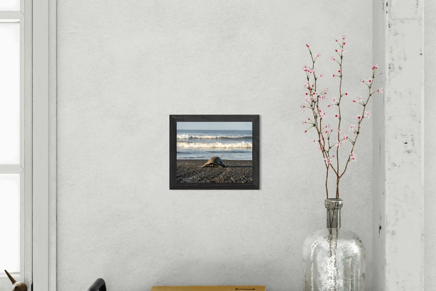 Into the Blue – Olive Ridley Turtle on the Black Sand | Costa Rica Photo Print
