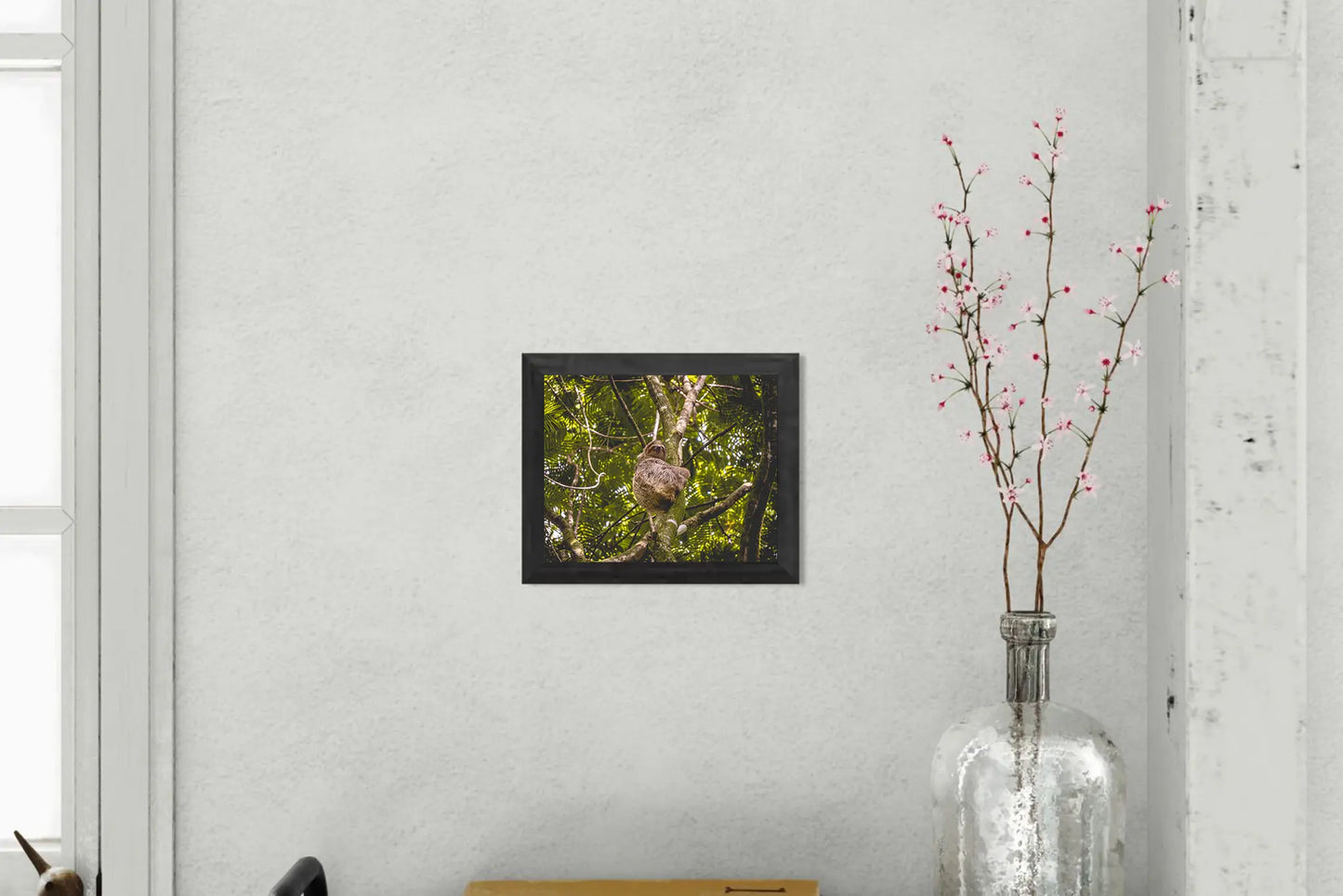 Jungle Dreamer - Three-Toed Sloth in Lush Costa Rica Canopy