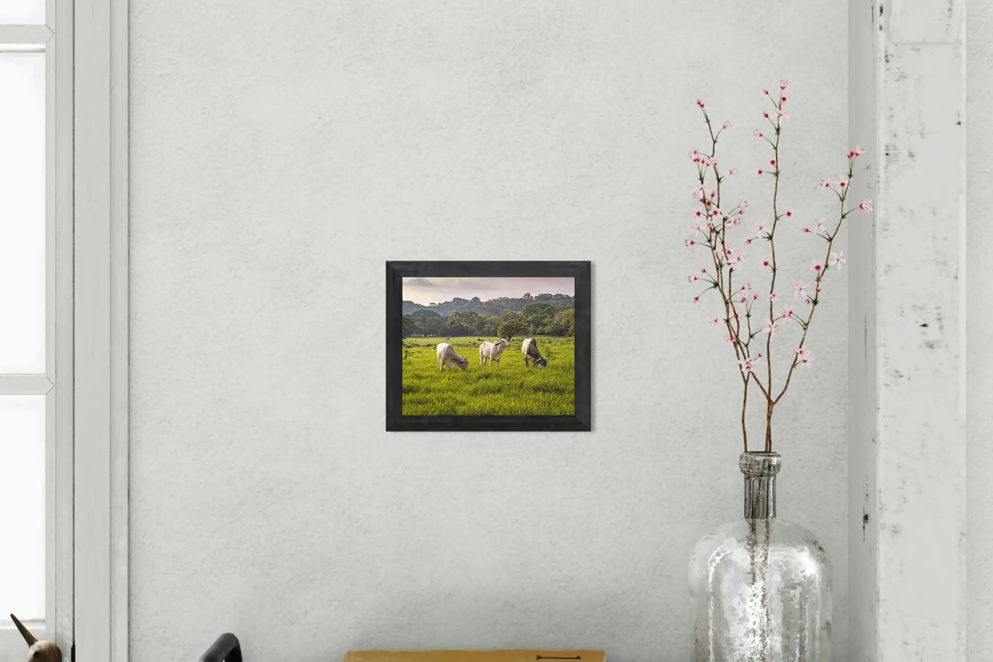 Evening Graze - Cattle in a Costa Rican Pasture | Animal Photo Print