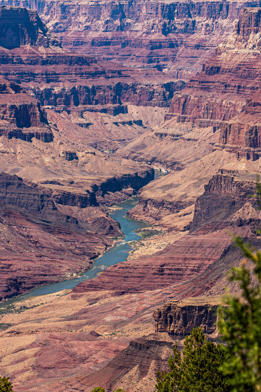 Beneath the Rim - Colorado River Grand Canyon Wall Art Print | Grand Canyon Close-Up Landscape