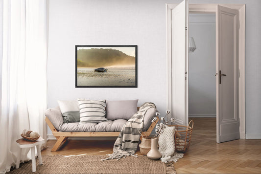 Golden Return – Olive Ridley Sea Turtle at Sunrise | Costa Rica Wildlife Photography Print