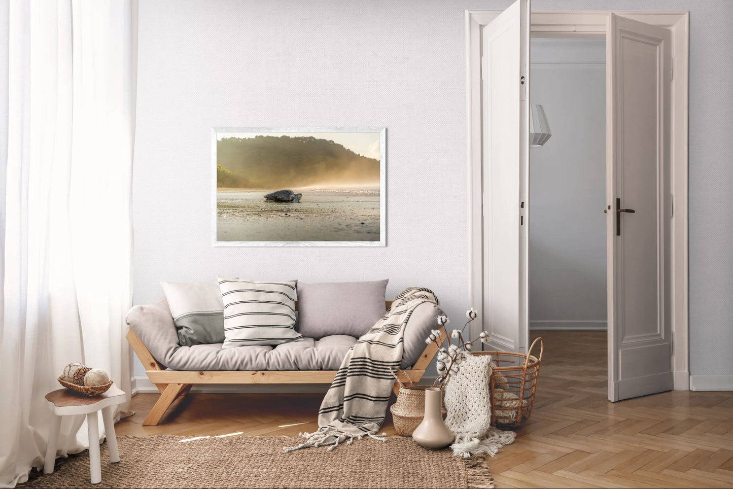 Golden Return – Olive Ridley Sea Turtle at Sunrise | Costa Rica Wildlife Photography Print