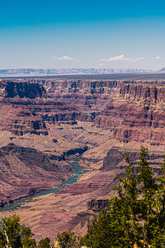 Riverbend Horizon - Grand Canyon Vertical Wall Art Print | Colorado River from Navajo Point