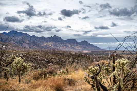 Shadowed Range – Sonoran Desert Landscape Print | Santa Catalina Mountains & Cholla Cactus